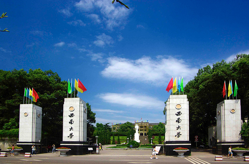 西南大学生命科学与伦理ppt,生命科学中的伦理论文2000字