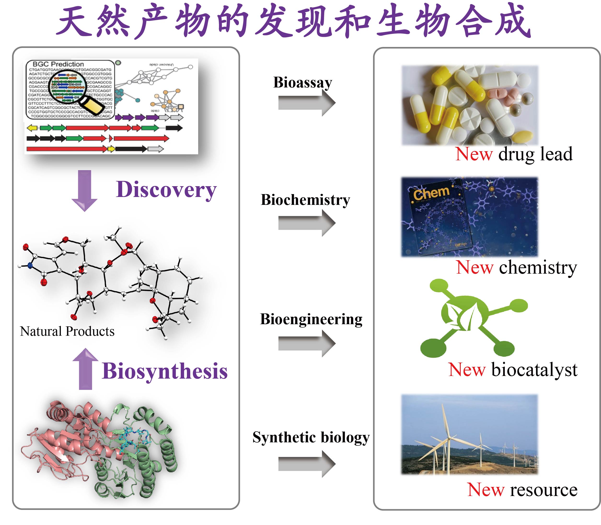 物化政选生命科学,物化生物化政选哪个好