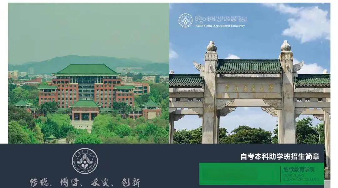 生命科学学院华农,华农生命科学学院排行 生命科学学院华农,华农生命科学学院排行