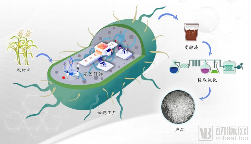 化学科技前沿圈,2026年化学科技前沿亲子营 化学科技前沿圈,2026年化学科技前沿亲子营