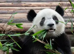 天文科普倡议书怎么写,天文科普倡议书怎么写六年级 天文科普倡议书怎么写,天文科普倡议书怎么写六年级