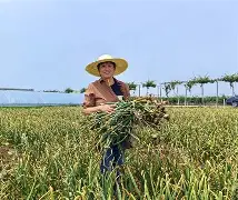 生命科学院徐静灵,中国药科大学生命院领导班子名单 生命科学院徐静灵,中国药科大学生命院领导班子名单