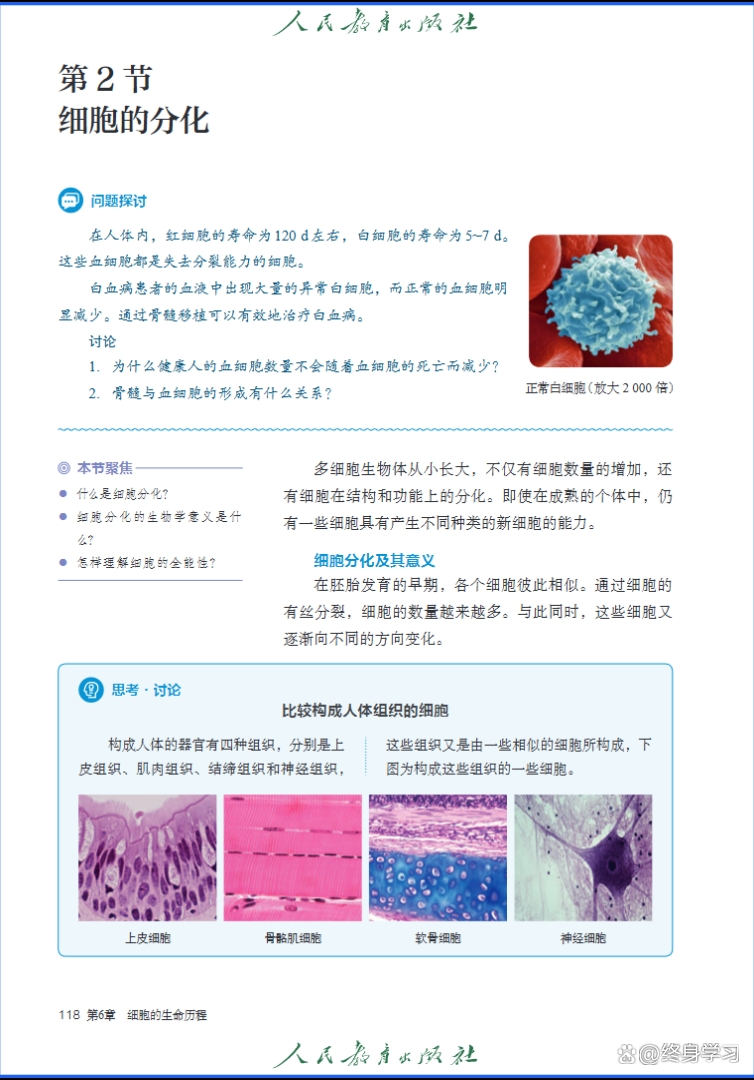 分子与细胞生命科学,2025细胞生物学学会