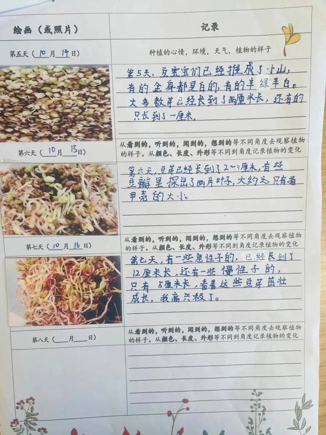 趣味生命科学小实验,趣味生命科学小实验怎么做 趣味生命科学小实验,趣味生命科学小实验怎么做