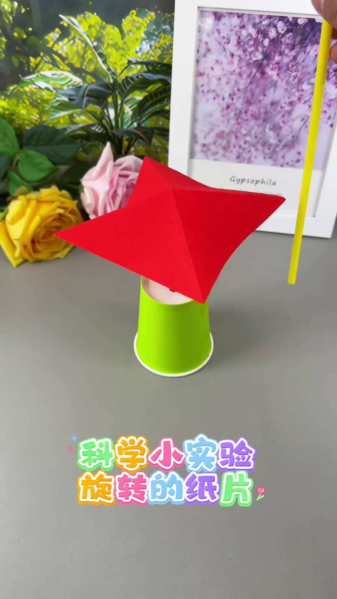 趣味生命科学小实验,趣味生命科学小实验怎么做 趣味生命科学小实验,趣味生命科学小实验怎么做