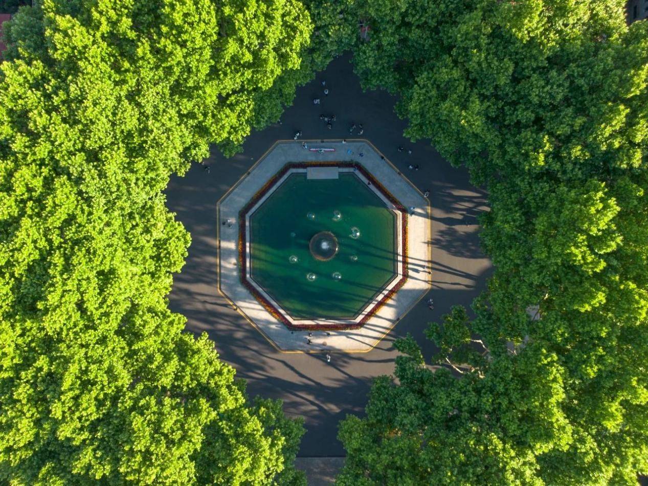 东南大学生命科学园,东南大学生命科学与技术学院在哪个 东南大学生命科学园,东南大学生命科学与技术学院在哪个