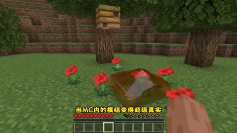 物理我的世界生存,我的世界生物生存100天进化视频 物理我的世界生存,我的世界生物生存100天进化视频