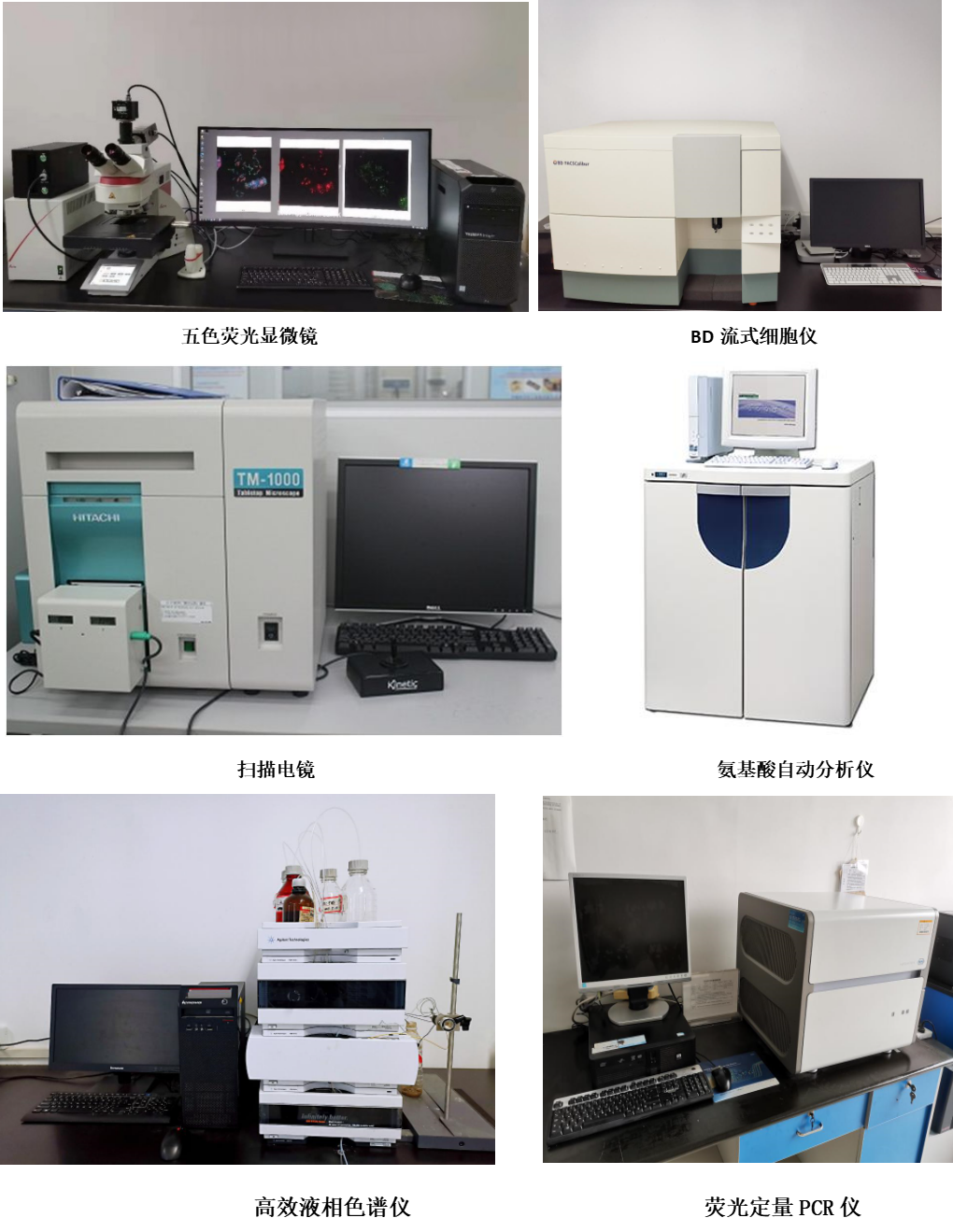 枣庄生命科学学院官网,枣庄学院生命科学学院录取分数线 枣庄生命科学学院官网,枣庄学院生命科学学院录取分数线