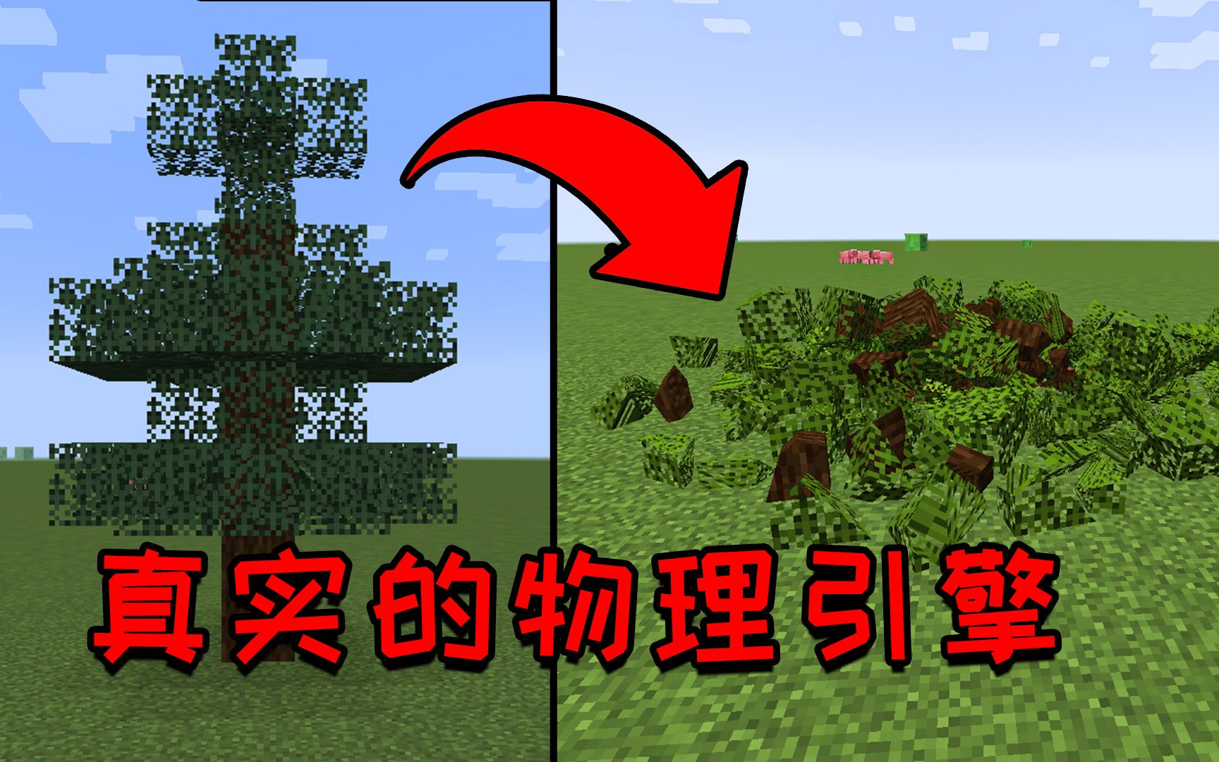 当物理学到了我的世界,当物理学到了我的世界里