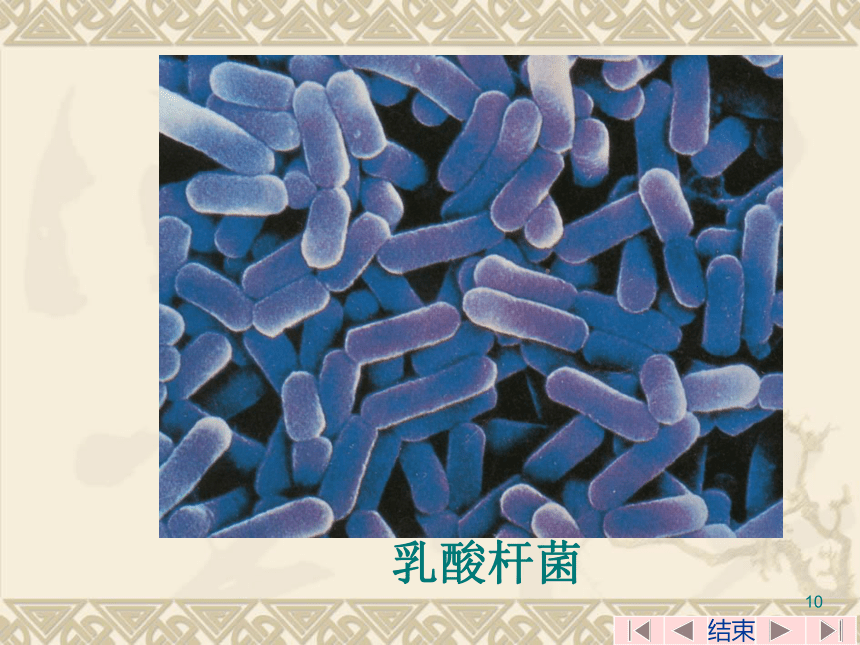 成都生命科学软件试用,成都新生代软件有限公司官网 成都生命科学软件试用,成都新生代软件有限公司官网