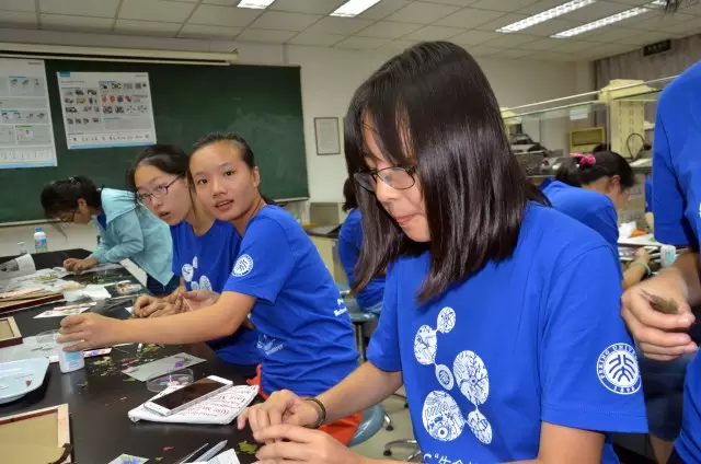 生命科学体验营试题,2026生命科学竞赛官网题及答案