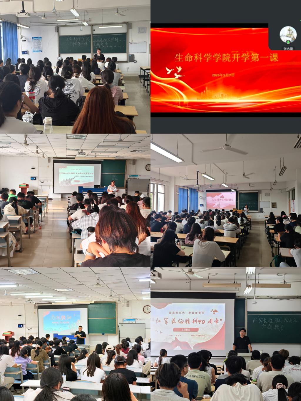生命科学课程基础教育,生命科学课程基础教育课程标准