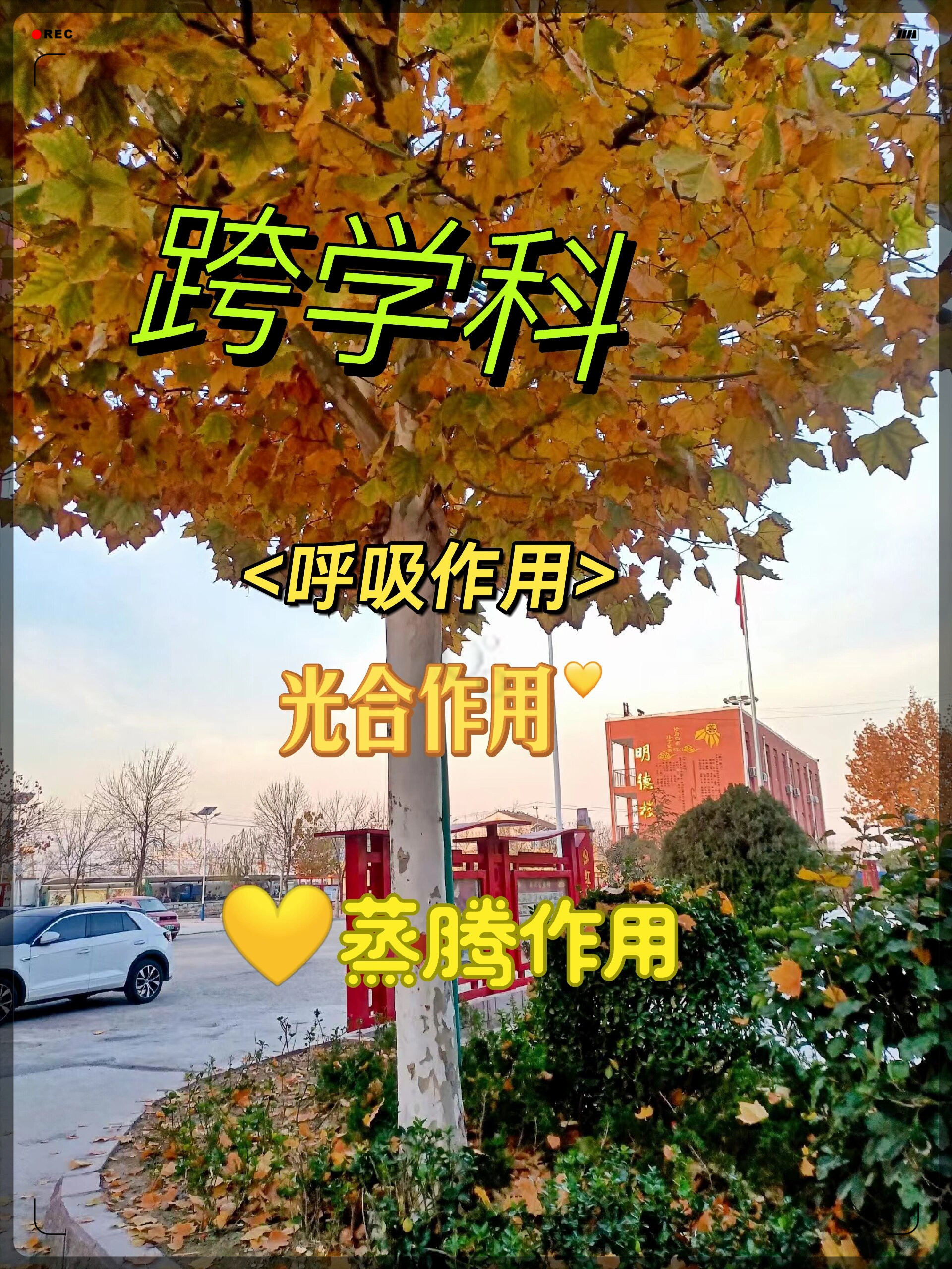 生命科学需要什么能力,生命科学系需要选什么科