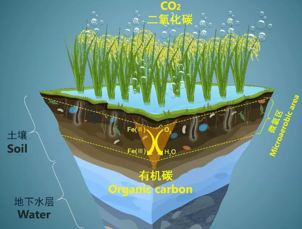 生命科学需要什么能力,生命科学系需要选什么科