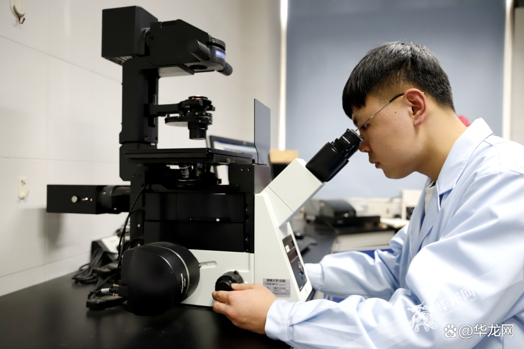尹说生命科学超长版,尹烨谈生命科学三个领域 尹说生命科学超长版,尹烨谈生命科学三个领域