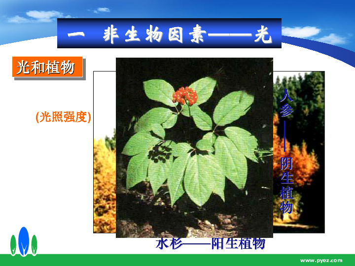 光与生命科学,工业与生命科学