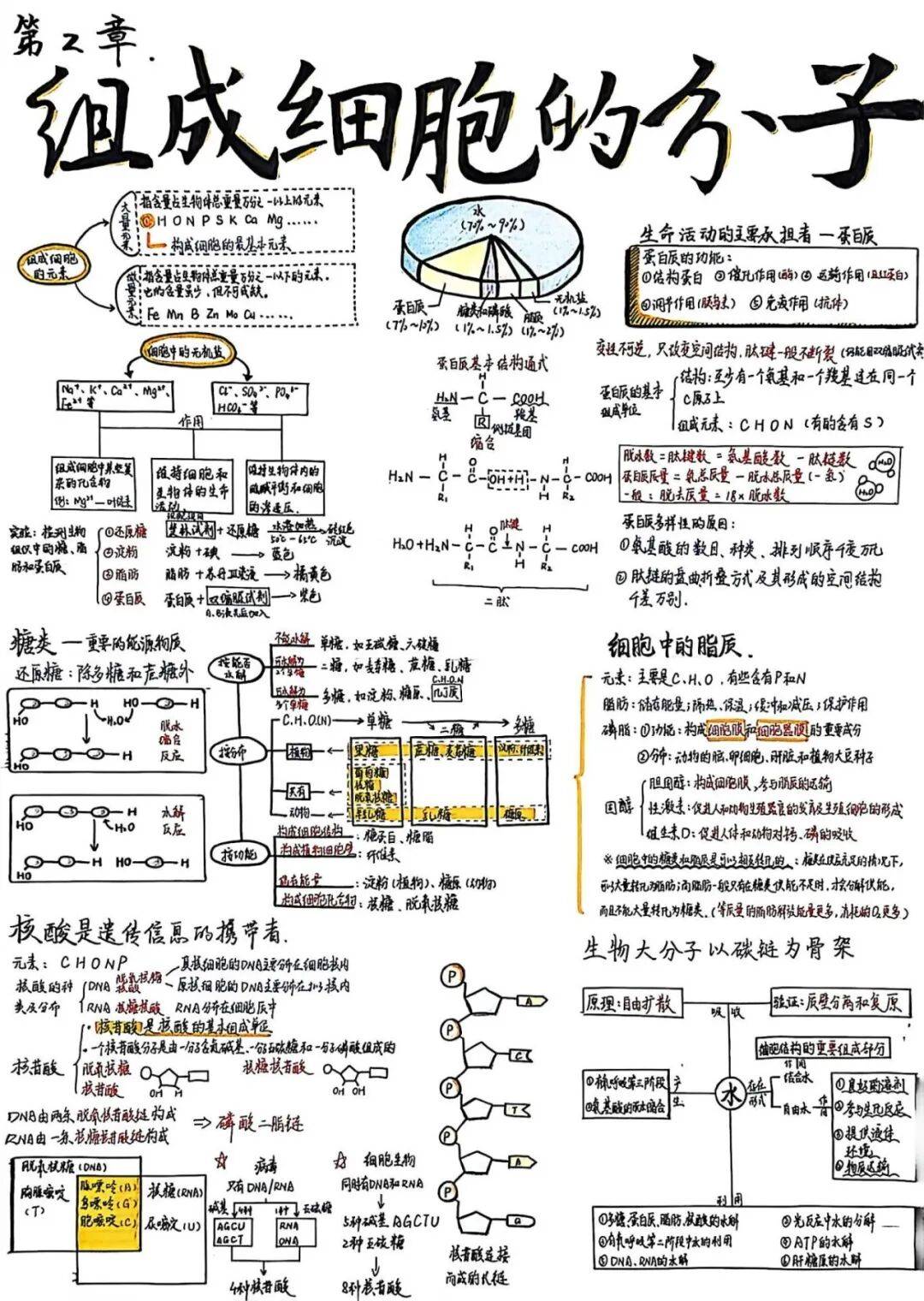 生命科学发展图解,2026年生命科学新发现