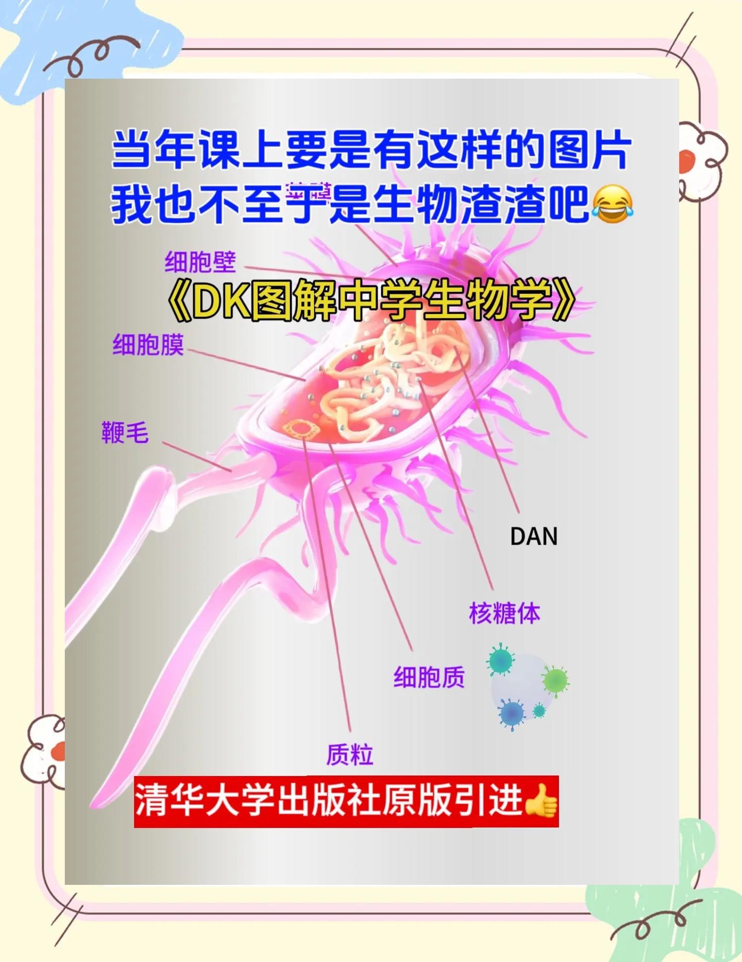生命科学发展图解,2026年生命科学新发现
