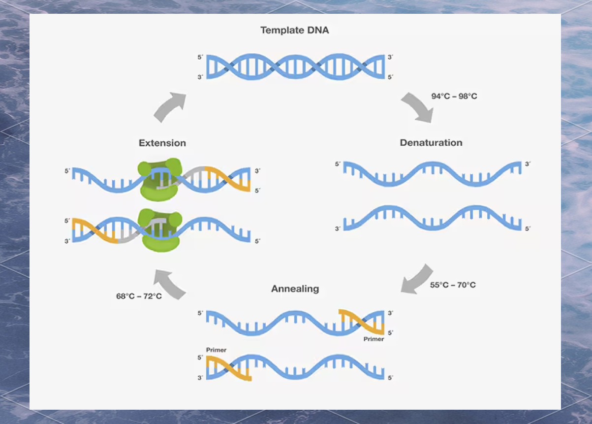 dnh和生命科学,生命科学期刊和生物化学期刊的区别 dnh和生命科学,生命科学期刊和生物化学期刊的区别
