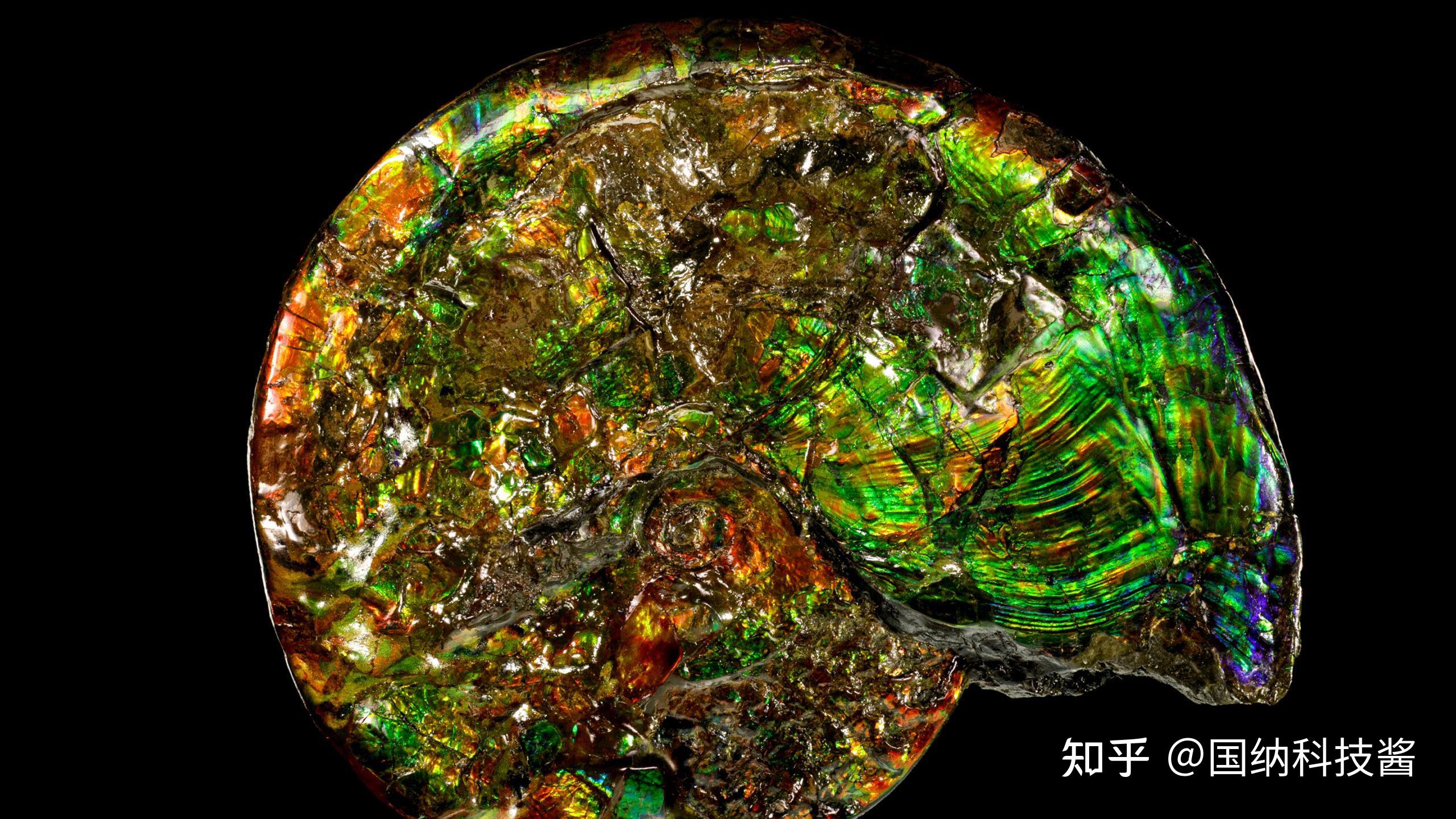 地球科学概论毕业论文,地球科学概论论文3000字