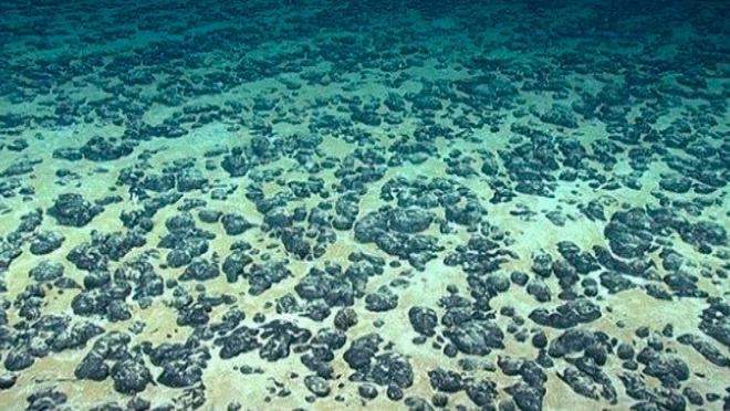 地球科学极地深海,地球科学极地深海生物