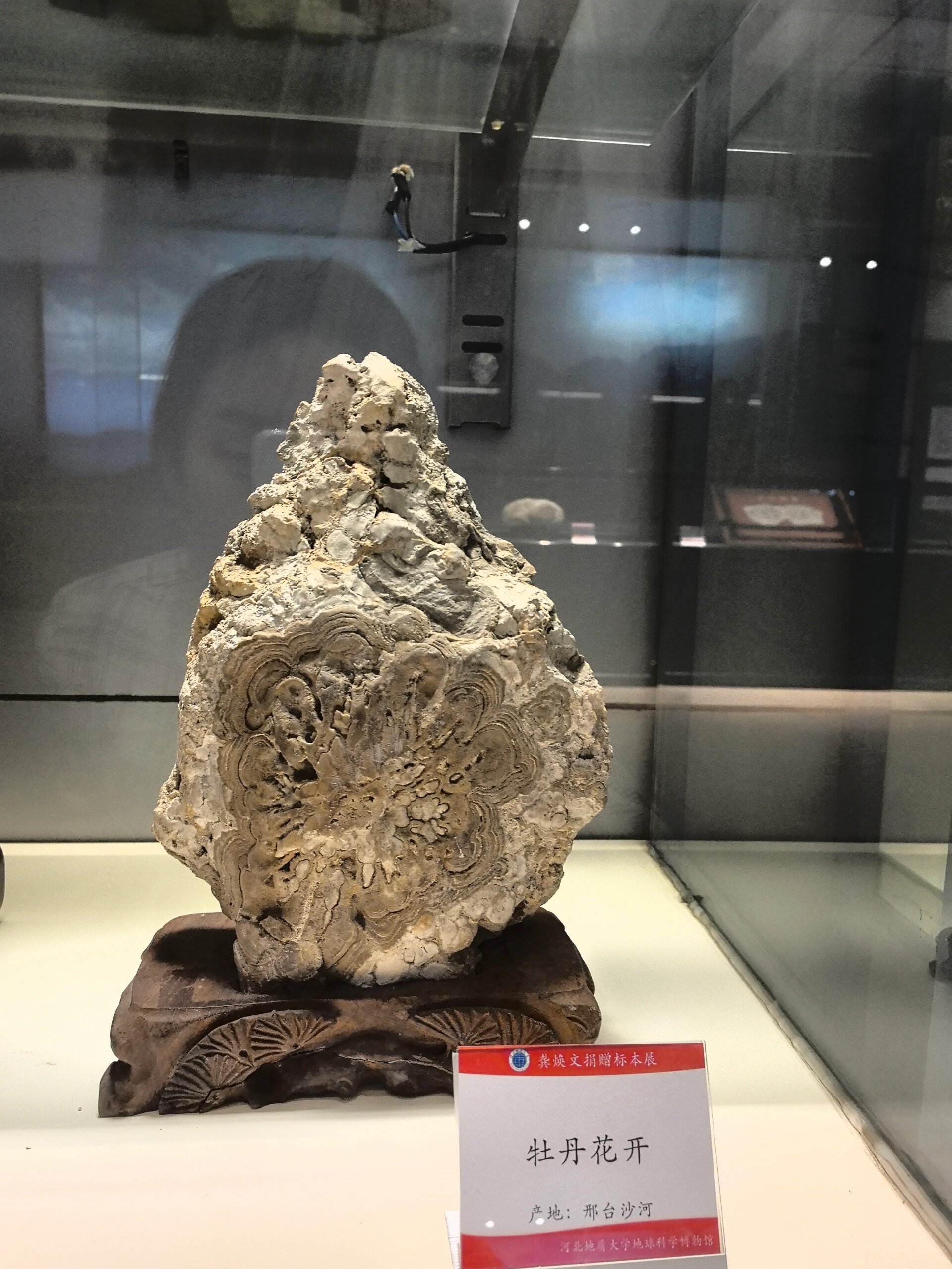 河北地质地球科学学院,河北地质大学地球科学学院就业情况