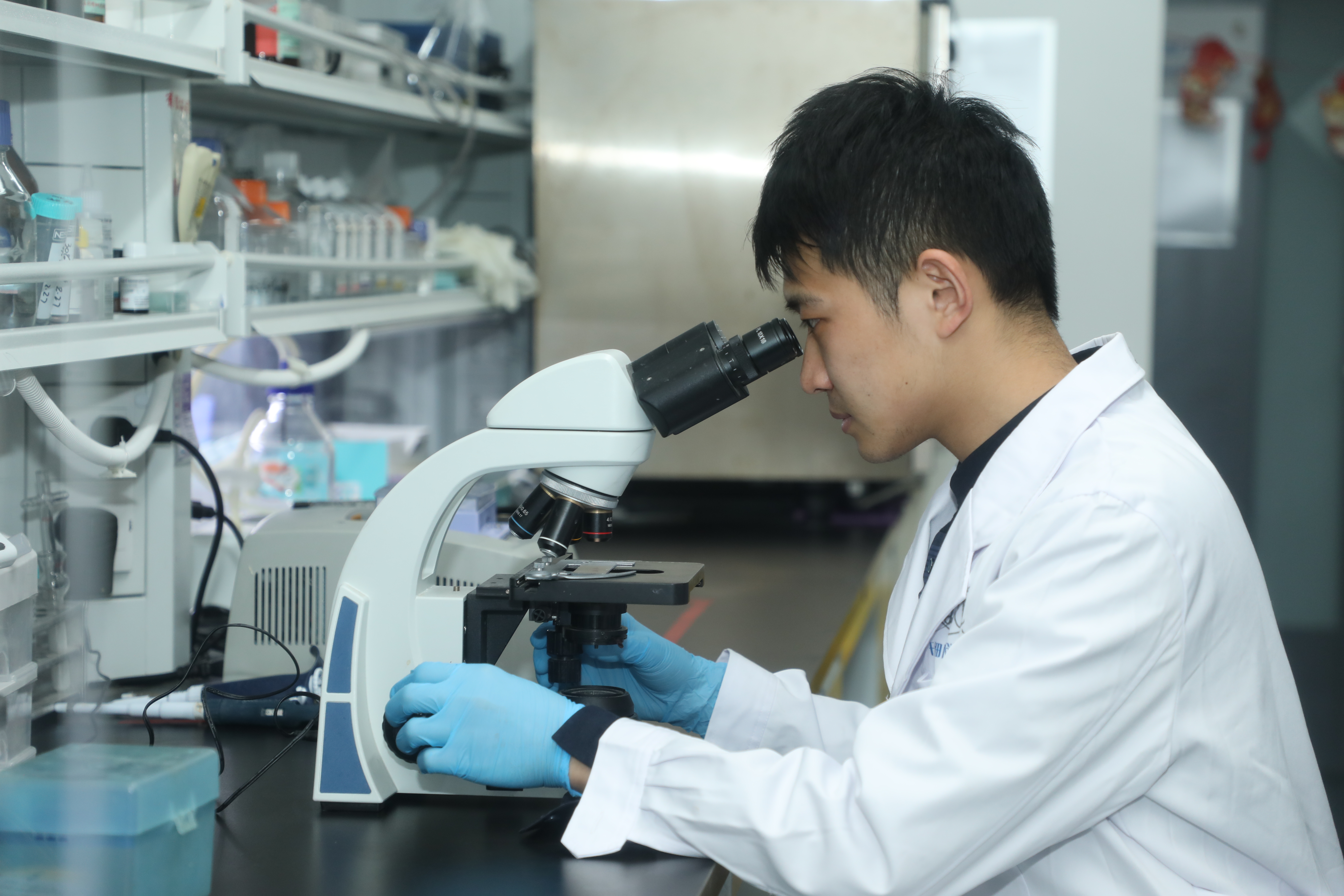 生命科学学院冯虎元,生命科学学院 张勇 内蒙古师范大学