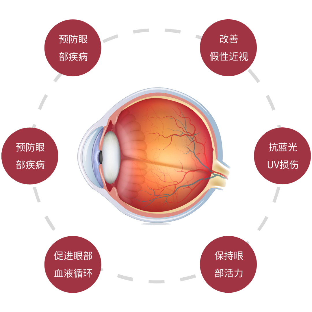 眼部生命科学,眼部生物测量仪多少钱 眼部生命科学,眼部生物测量仪多少钱