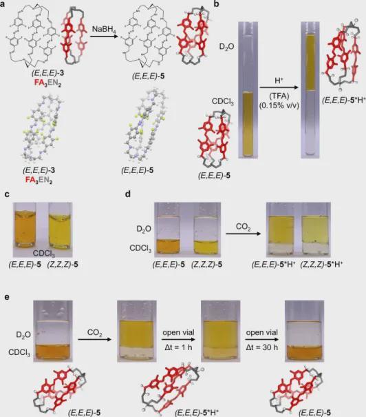 自组装与生命科学,自组装技术的基本简介