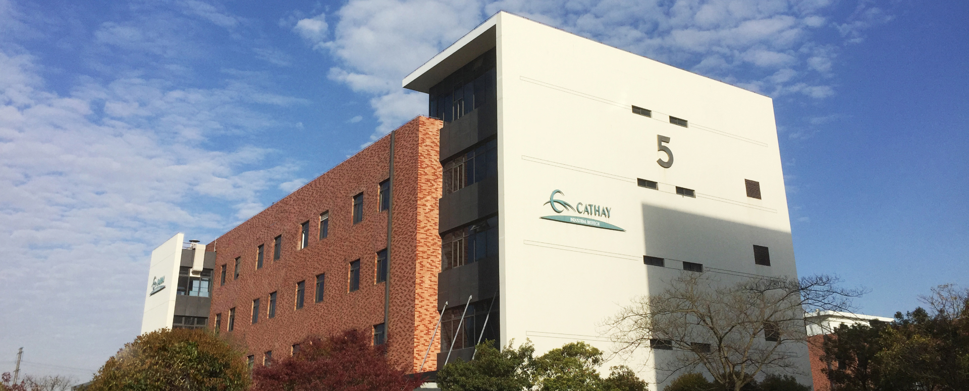 凯尔生命科学,科凯生命科学官网