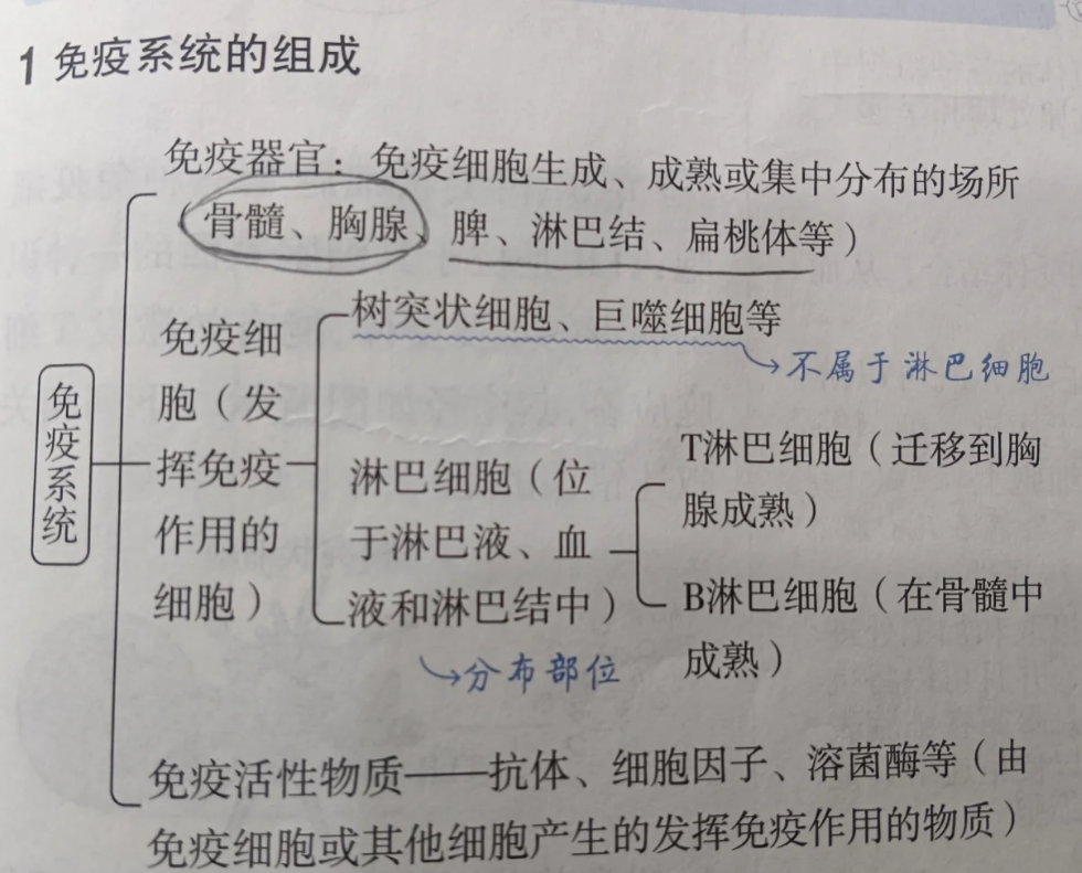 生命科学免疫系统包括,免疫系统的三大功能包括 生命科学免疫系统包括,免疫系统的三大功能包括