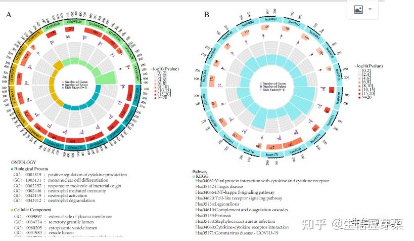 生命科学套路题,生命科学的100个基本问题 生命科学套路题,生命科学的100个基本问题