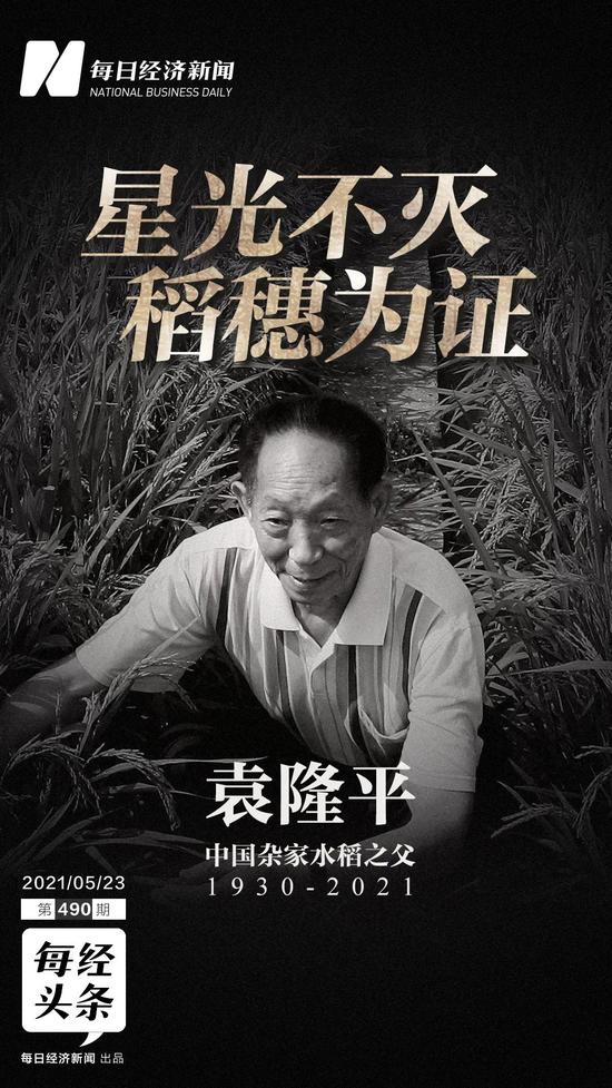 袁隆平科技前沿,袁隆平 坚守科研