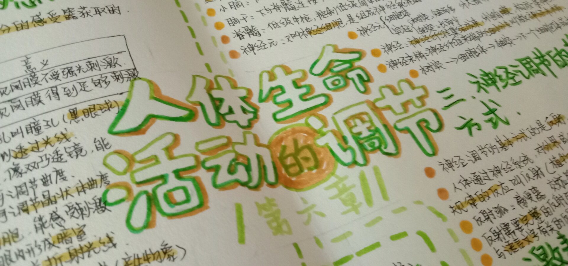 高中生命科学手抄报,生命科学手抄报简单又漂亮 高中生命科学手抄报,生命科学手抄报简单又漂亮