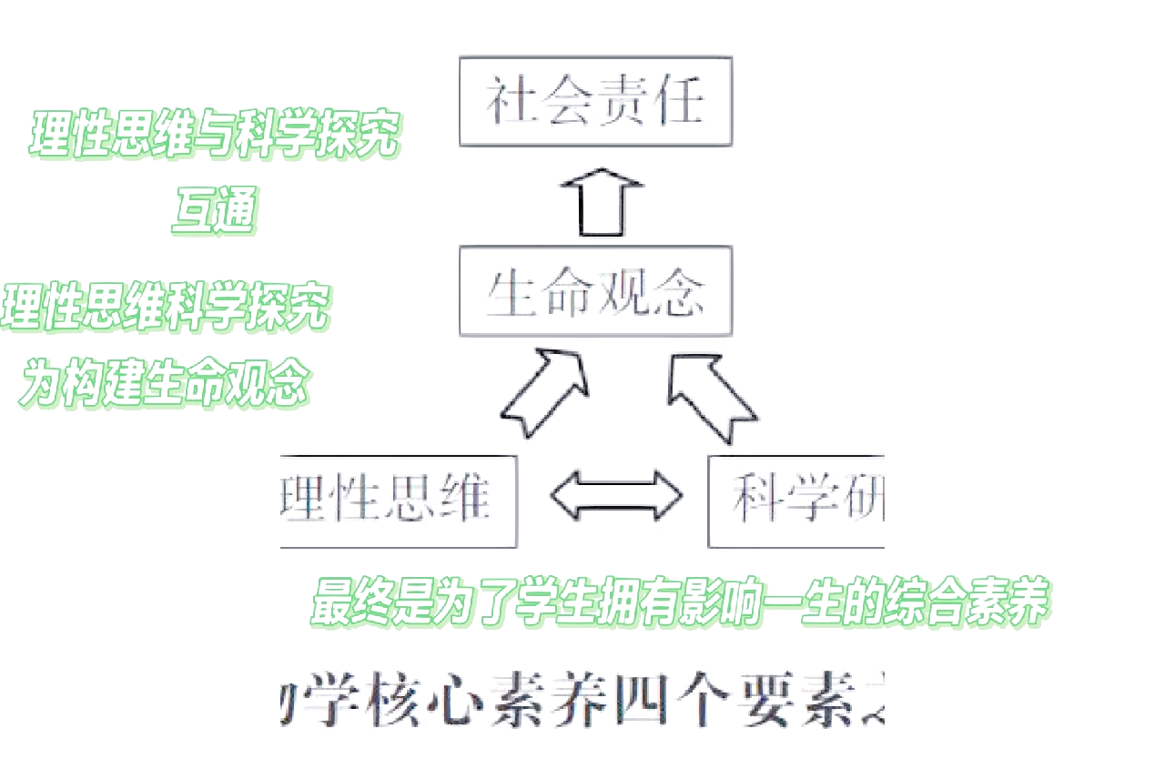 生命科学是什么系,生命科学是什么系科