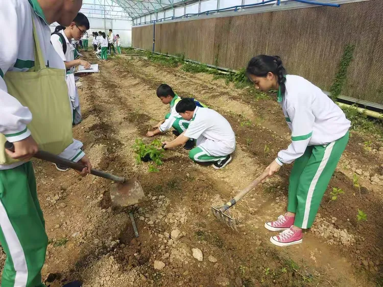 包含倍特生命科学研学基地保住维生素c的词条 包含倍特生命科学研学基地保住维生素c的词条