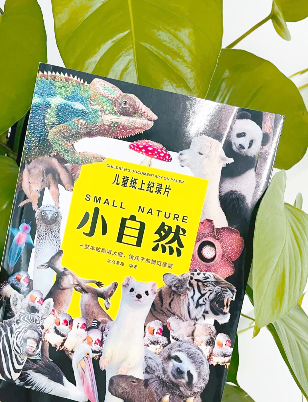 生命科学绘本出版社,生命科学绘本出版社电子版 生命科学绘本出版社,生命科学绘本出版社电子版
