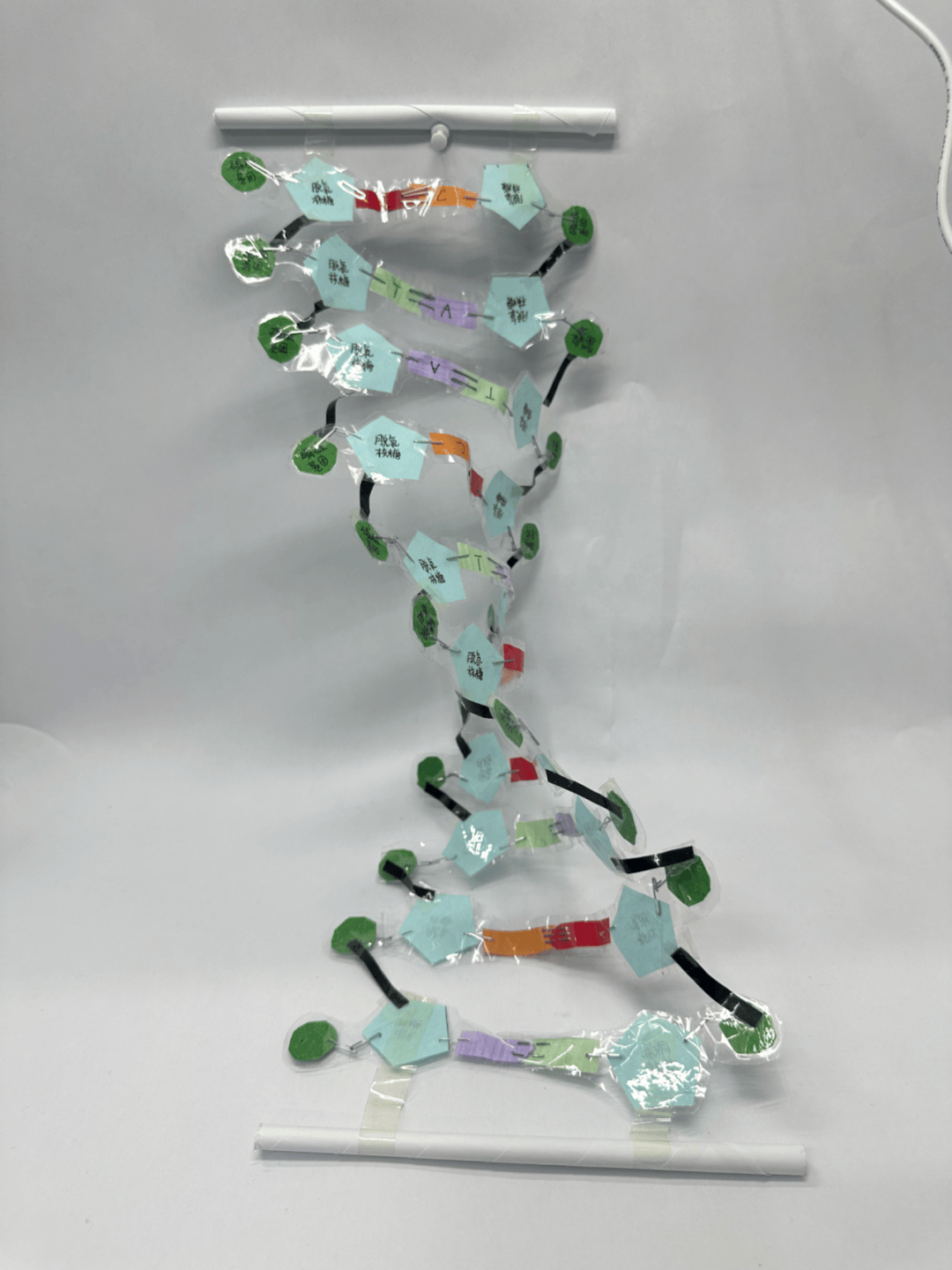 深圳生物生命科学大赛,中国生命科学领域权威大学生赛事 深圳生物生命科学大赛,中国生命科学领域权威大学生赛事