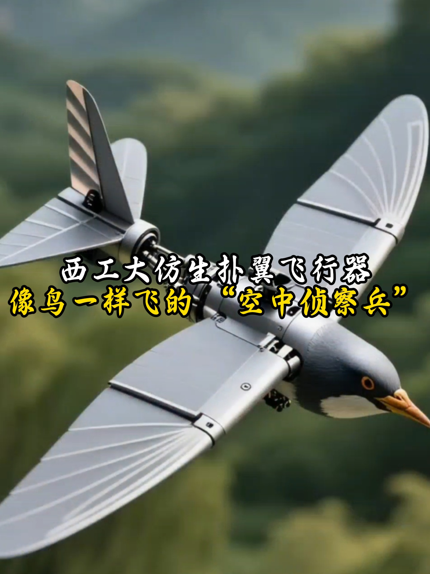 军事科技前沿仿生学,军事科技前沿仿生学原理 军事科技前沿仿生学,军事科技前沿仿生学原理