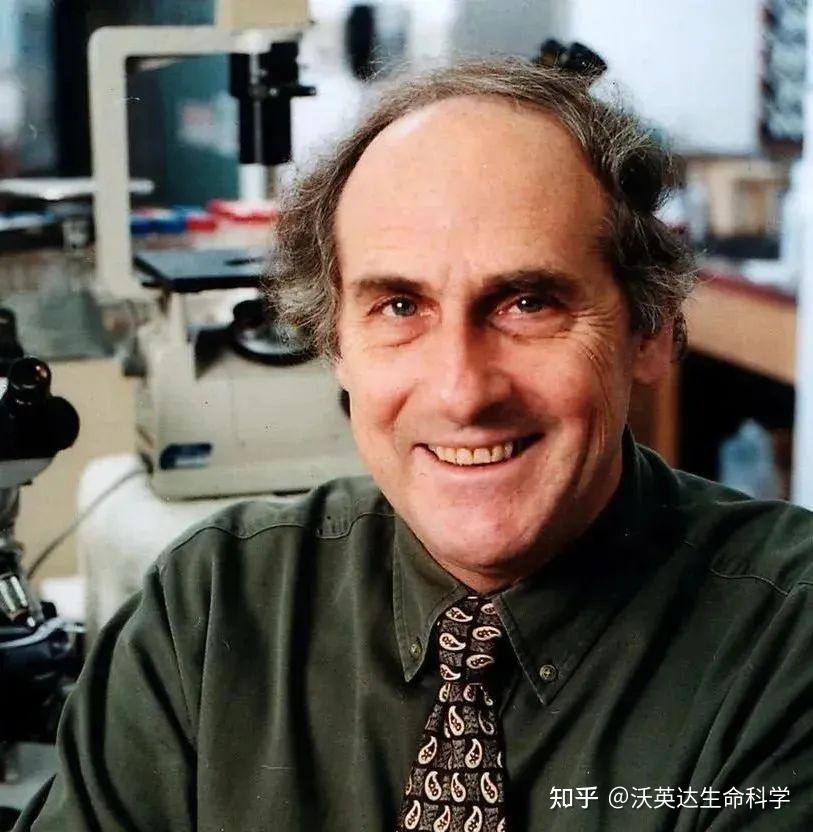 沃英达生命科学是什么,福州英达沃实业有限公司