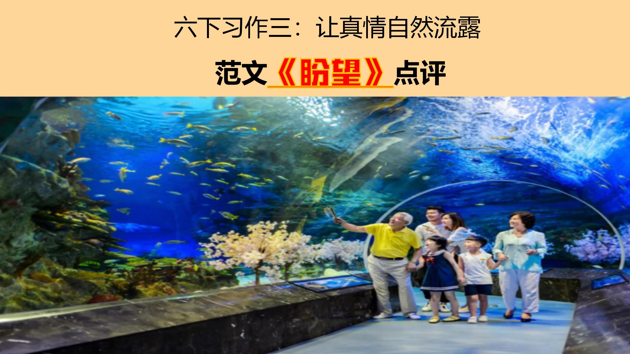 生命科学竞赛推文范文,生命科学竞赛获奖作品展示 生命科学竞赛推文范文,生命科学竞赛获奖作品展示