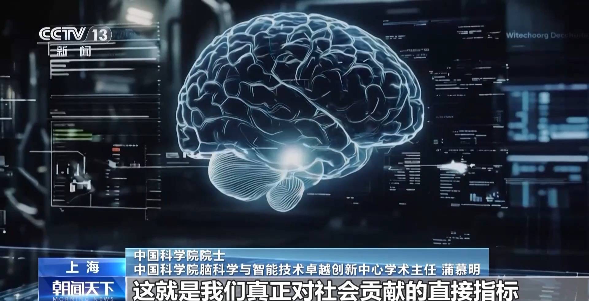 脑雾生命科学,脑雾的医学解释