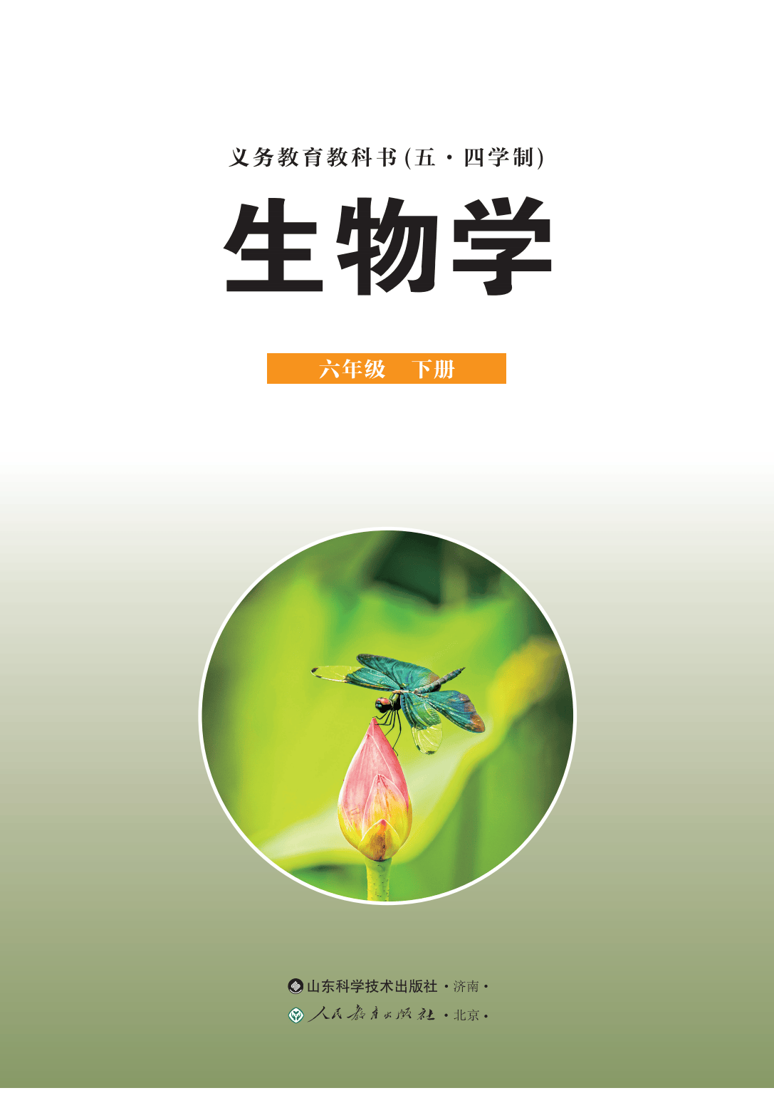 初中生命科学教学基本,初中生命科学教学基本要求