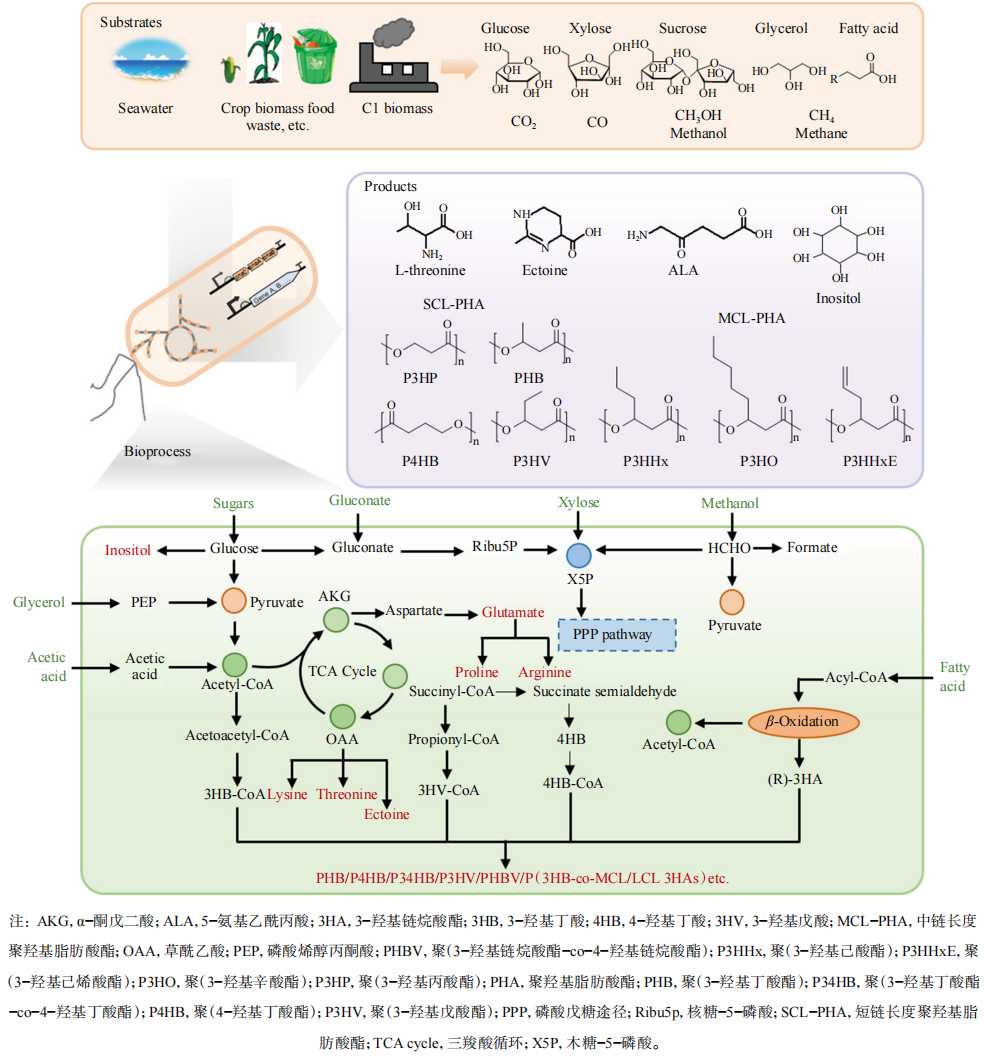 生命科学四大分类,生命科学都涵盖哪些方面 生命科学四大分类,生命科学都涵盖哪些方面