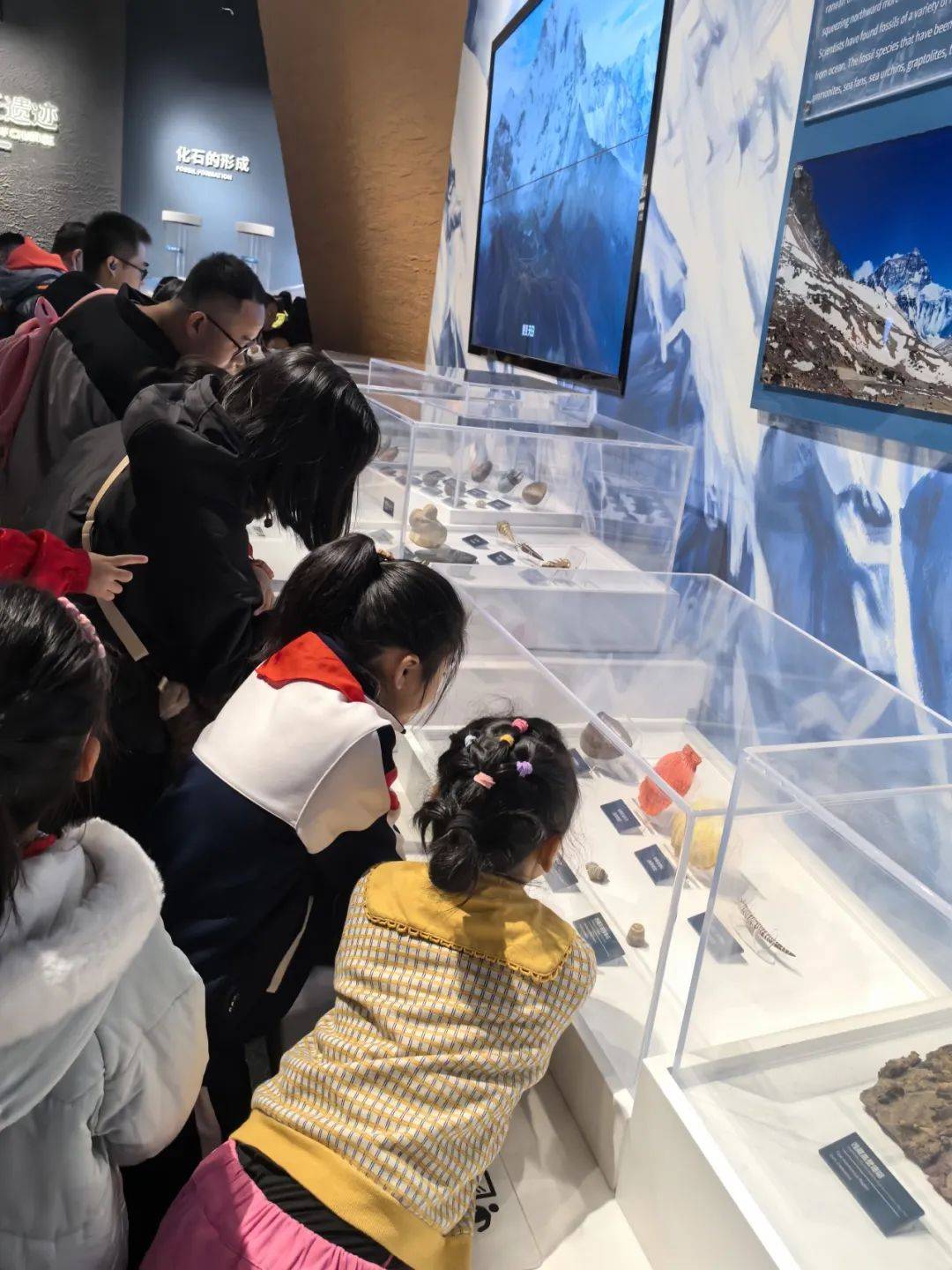 小学生参观生命科学馆,小学生科技馆参观收获与感悟