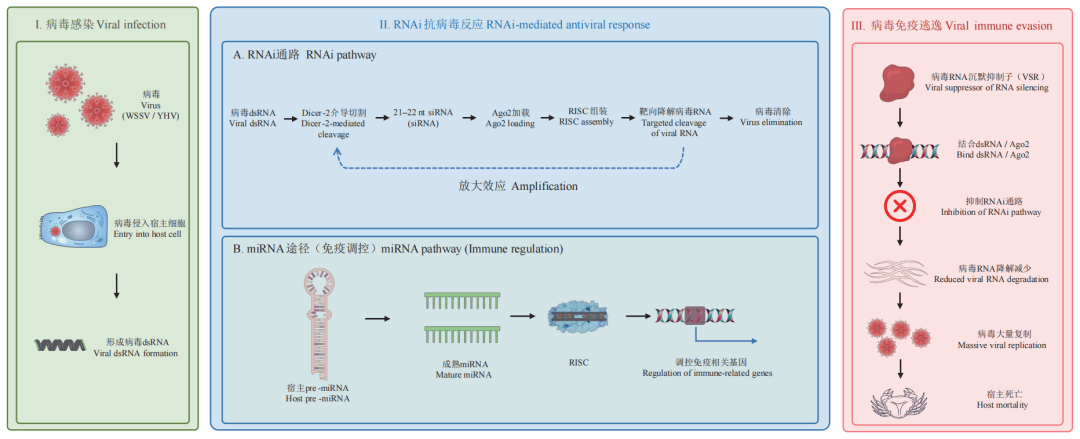 生命科学研究的思路,生命科学研究的一般过程是 生命科学研究的思路,生命科学研究的一般过程是