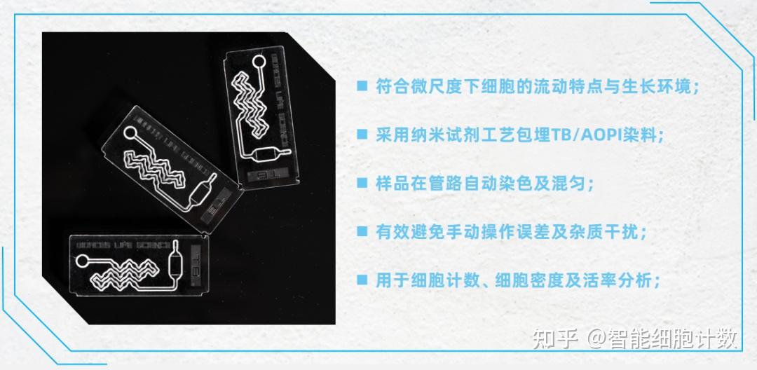 生命科学知乎,生命科学知乎免费阅读 生命科学知乎,生命科学知乎免费阅读