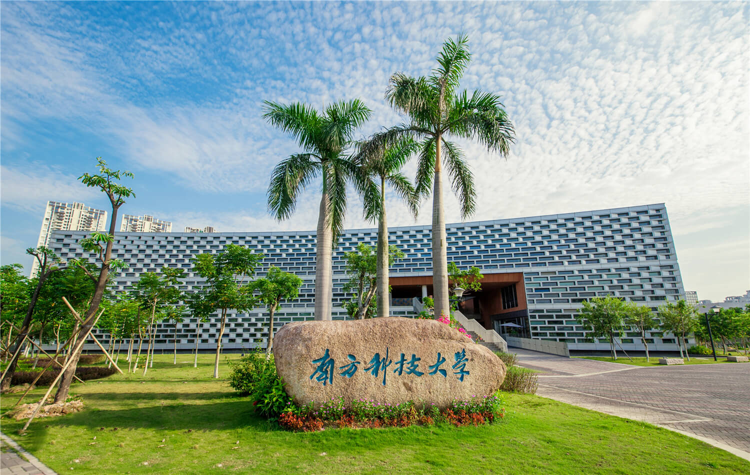 孙之荣生命科学学院,孙成中科大生命科学学院