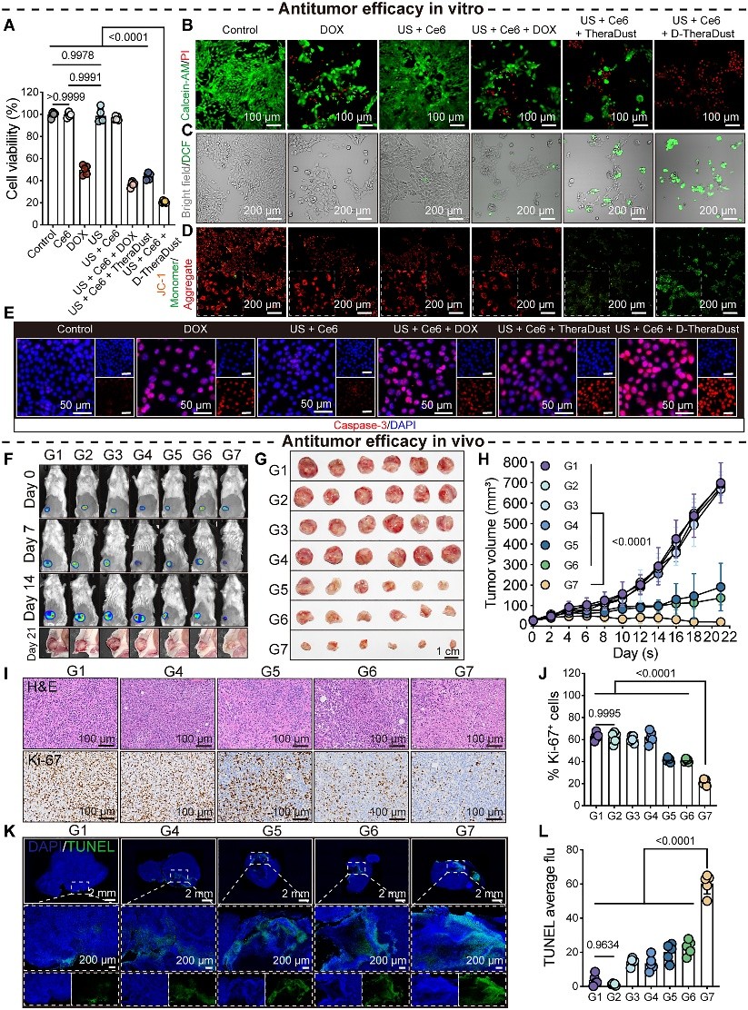 生物科技前沿最新成就,2026年生物最新突破 生物科技前沿最新成就,2026年生物最新突破