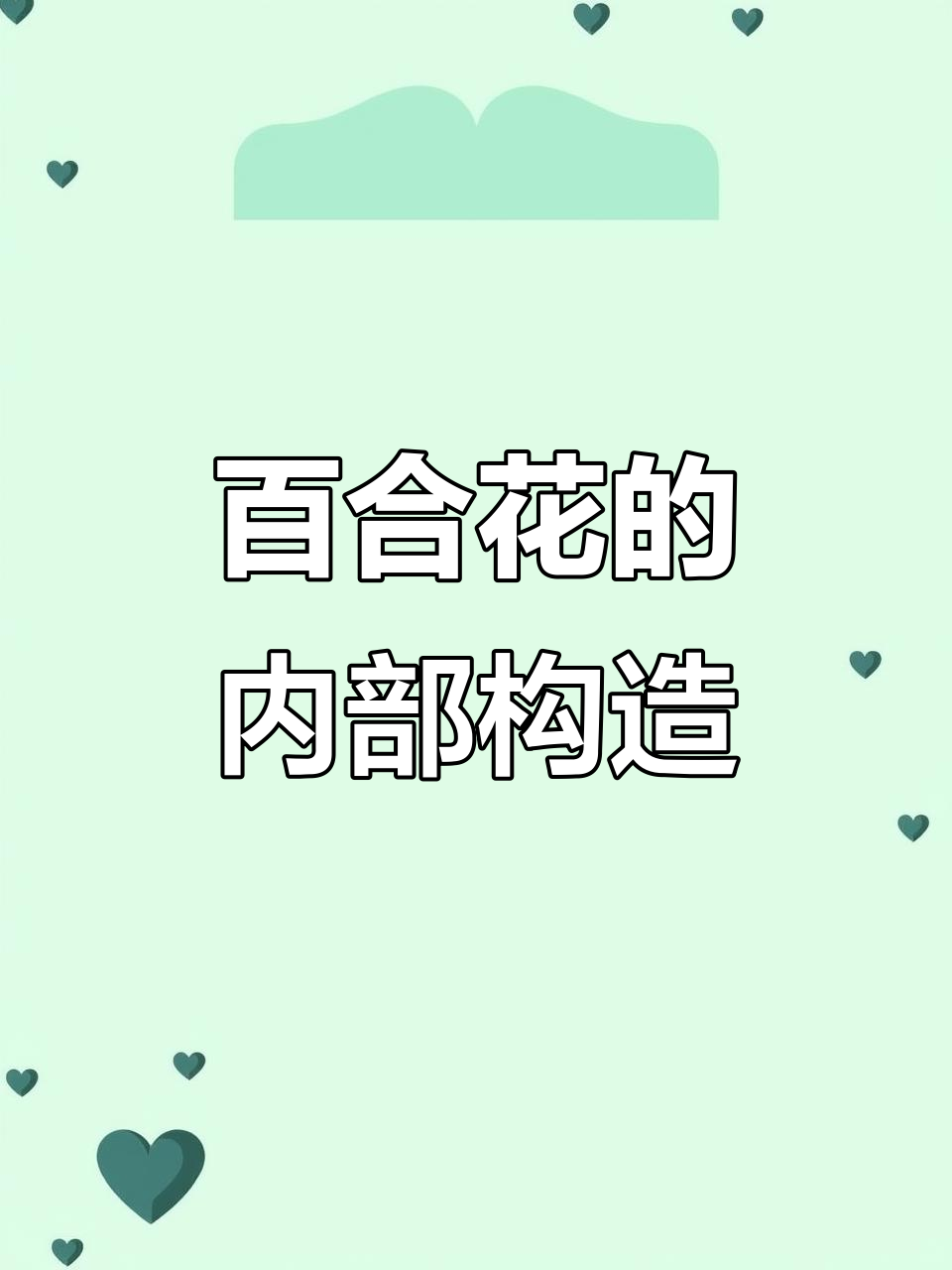 生命科学解剖花朵,解剖和观察花的结构
